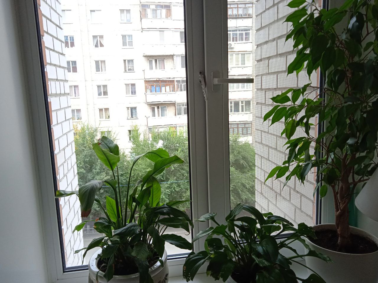 https://chita.delaem-okna.ru/storage/app/uploads/public/63f/332/8c0/63f3328c0d6f7867060515.jpg